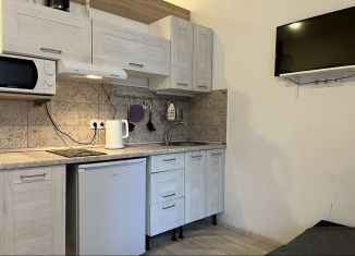 Сдам в аренду квартиру студию, 22.1 м2, Санкт-Петербург, Коломенская улица, 46