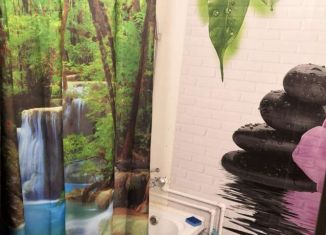 Сдам в аренду квартиру студию, 27 м2, Мурино, проспект Авиаторов Балтики, 11/1