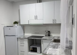 1-комнатная квартира в аренду, 55 м2, поселок городского типа Заозерное, Бахчисарайская улица, 3