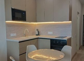 Продается 2-комнатная квартира, 46.8 м2, Сочи, улица Бытха, 4/10А, микрорайон Бытха