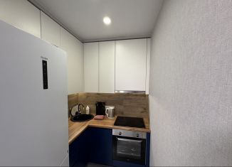 Сдам в аренду 2-комнатную квартиру, 44 м2, Сочи, переулок Трунова, 6к7, микрорайон Завокзальный