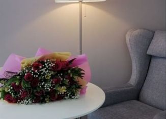 Сдаю в аренду 2-комнатную квартиру, 30 м2, Королёв, Пионерская улица, 1