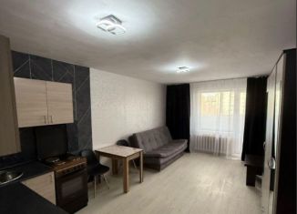 Продаю квартиру студию, 29.4 м2, Ростов-на-Дону, Днепровский переулок, 124Н