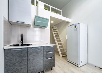 Продается квартира студия, 17 м2, Санкт-Петербург, Большая Посадская улица, 24/2