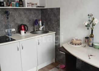 Продам 1-комнатную квартиру, 27 м2, Горячий Ключ, улица Ярославского, 132Р