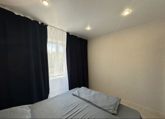 Сдам в аренду 1-комнатную квартиру, 41 м2, Владимир, проспект Строителей, 9к1