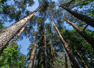 Продам дом, 742 м2, поселок Горки-2, посёлок Горки-2, 59