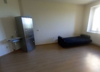 Продаю квартиру студию, 25.1 м2, деревня Новое Девяткино, Капральская улица, 15, ЖК Озёрный