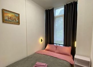 Сдам в аренду квартиру студию, 42.8 м2, Сочи, Вишнёвая улица, 26/5, микрорайон Заречный