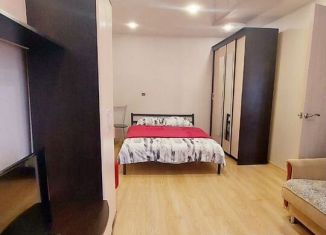 1-комнатная квартира на продажу, 30.2 м2, Северодвинск, Железнодорожная улица, 19