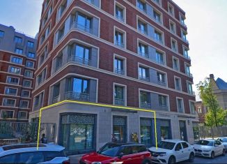 Продам помещение свободного назначения, 67 м2, Санкт-Петербург, Аптекарский проспект, 5, Петроградский район