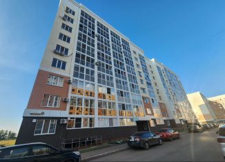 Квартира на продажу студия, 28 м2, село Мариинский, улица Рашита Кудашева, 3