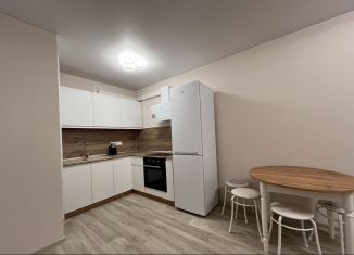 Сдам в аренду 2-ком. квартиру, 45 м2, Республика Башкортостан, улица Софьи Перовской, 22