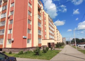 Продажа квартиры студии, 24 м2, село Михайловка, Сливовая улица, 2
