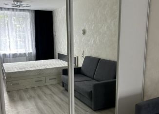 Сдаю однокомнатную квартиру, 38 м2, Санкт-Петербург, Медвежий переулок, 2/5