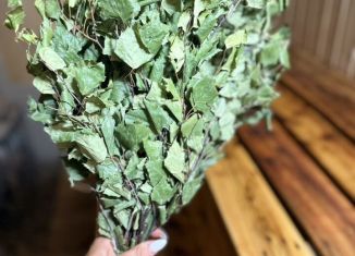 Аренда дома, 65 м2, Пермь