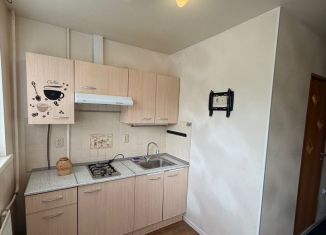 Продается двухкомнатная квартира, 48 м2, Санкт-Петербург, Петергофское шоссе, 1к1, Петергофское шоссе