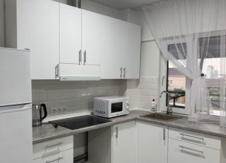 Аренда 1-комнатной квартиры, 55 м2, поселок городского типа Заозерное, Бахчисарайская улица, 3А