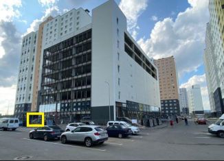 Продам торговую площадь, 26 м2, Санкт-Петербург, Муринская дорога, 27к4, метро Девяткино