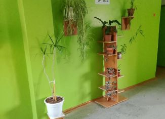 Продается 1-комнатная квартира, 45 м2, Смоленск, улица Румянцева, 19