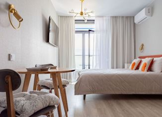 Аренда квартиры студии, 21 м2, Сочи, Ясногорская улица, 16/2к7, микрорайон Бытха