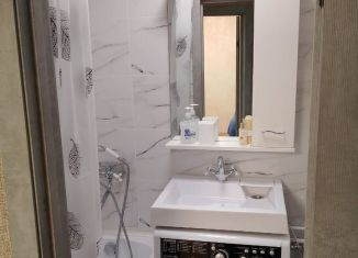 Сдача в аренду 1-ком. квартиры, 30.6 м2, Луга, улица Дзержинского