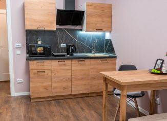 Продам квартиру студию, 20.4 м2, Санкт-Петербург, Пейзажная улица