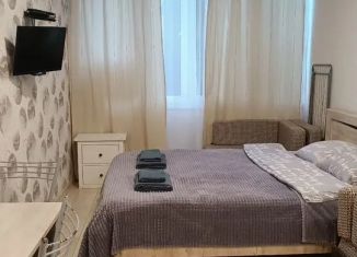 Однокомнатная квартира в аренду, 28 м2, Сочи, улица Чкалова, 13, микрорайон Чкаловский