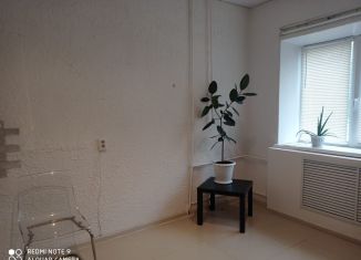 Сдаю помещение свободного назначения, 28 м2, Октябрьский, улица Герцена, 22А