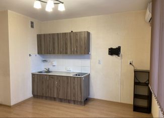 Сдаю квартиру студию, 24.1 м2, Мурино, проспект Авиаторов Балтики, 9, ЖК Виктория