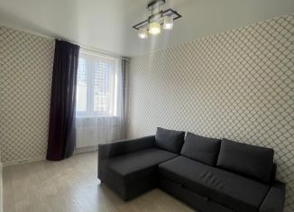 Продам однокомнатную квартиру, 30 м2, Мурино, улица Шувалова, 19к2, ЖК Краски Лета