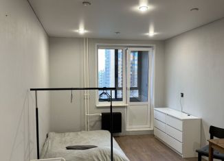 Сдам в аренду квартиру студию, 28 м2, Мурино, Екатерининская улица, 22к2