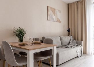 Однокомнатная квартира на продажу, 42 м2, Санкт-Петербург, Фарфоровская улица, 9, ЖК Стрижи в Невском 2