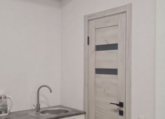 Сдается в аренду квартира студия, 20 м2, Сочи, Известинская улица, 31