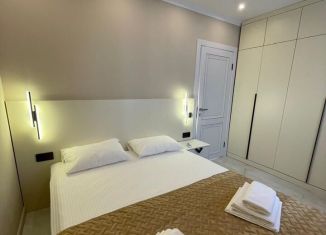 Сдается в аренду дом, 50 м2, село Витязево, Южная улица, 17