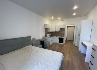 Квартира на продажу студия, 24.7 м2, Мурино, Воронцовский бульвар, 21к1, ЖК Мой Мир