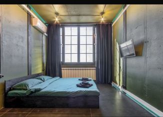 Квартира в аренду студия, 30 м2, Ростов-на-Дону, Доломановский переулок, 126, Октябрьский район