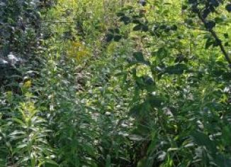 Продам дачу, 30 м2, СНТ Лада-2, Светлая улица, 361