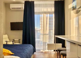 Аренда квартиры студии, 18 м2, Сочи, Ясногорская улица, 16/2, микрорайон Бытха