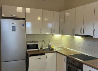 Продается 1-комнатная квартира, 46 м2, Санкт-Петербург, метро Комендантский проспект, Парашютная улица, 25к1