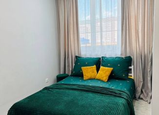 Сдача в аренду однокомнатной квартиры, 35 м2, Республика Башкортостан, улица Генерала Рыленко, 8