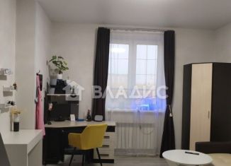 Продается квартира студия, 24 м2, деревня Павлино, деревня Павлино, 51