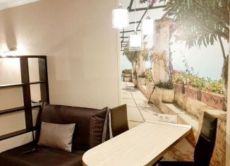 Квартира в аренду студия, 24.7 м2, Мурино, проспект Авиаторов Балтики, 3к1, ЖК Девятый вал