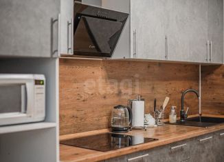 Сдам в аренду 2-ком. квартиру, 58 м2, посёлок Парголово, Толубеевский проезд, 14к1