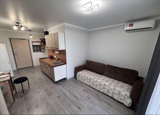 Сдам в аренду квартиру студию, 27 м2, Ростов-на-Дону, улица Ерёменко, 110/2с1, ЖК Пятый Элемент