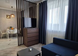 Сдается в аренду 1-комнатная квартира, 41 м2, Краснодар, Агрономическая улица, 2/5лит1, микрорайон Горхутор