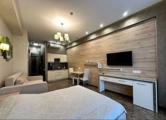 Продается квартира студия, 45 м2, Сочи, Курортный проспект, 105А, микрорайон Приморье