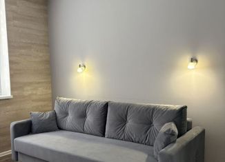 Сдаю 1-ком. квартиру, 33 м2, Калининград, улица Николая Карамзина, 38, ЖК Атлант