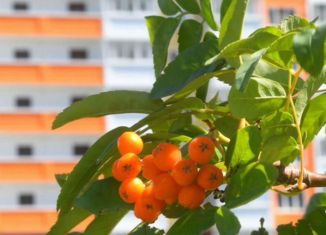 Продам 2-ком. квартиру, 53.1 м2, Ростов-на-Дону, Художественная улица, 20, ЖК Платовский