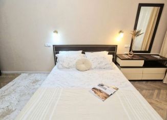 Аренда 2-ком. квартиры, 46 м2, Сочи, улица Воровского, 22, микрорайон Центральный